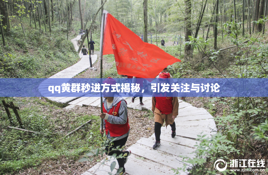 qq黄群秒进方式揭秘，引发关注与讨论