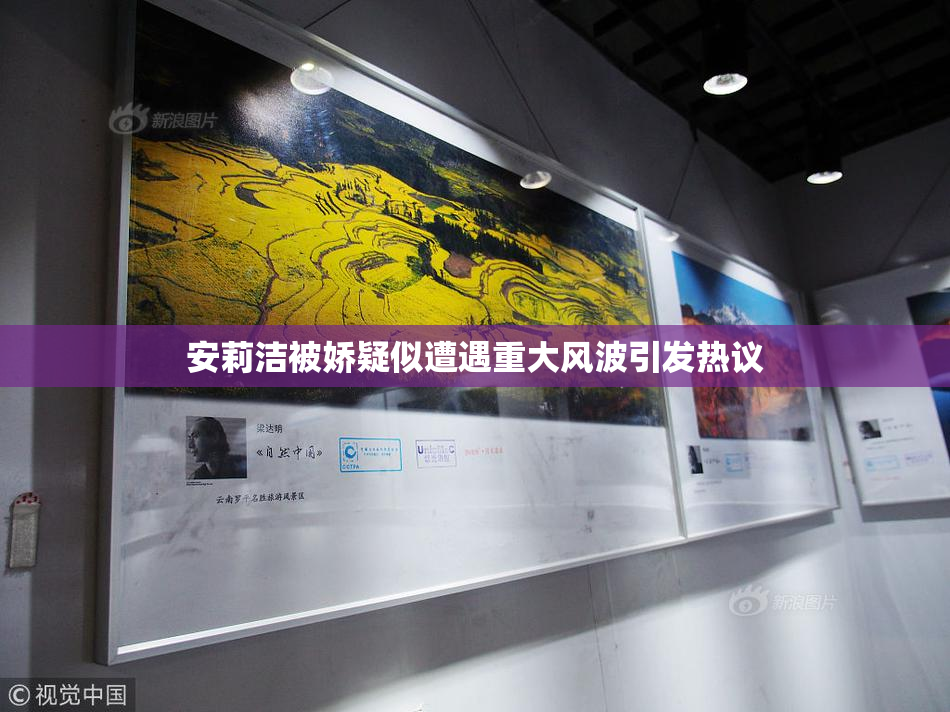 安莉洁被娇疑似遭遇重大风波引发热议
