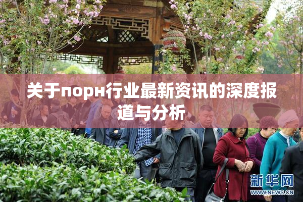 关于порн行业最新资讯的深度报道与分析