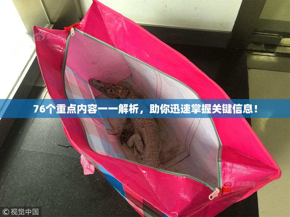 76个重点内容一一解析，助你迅速掌握关键信息！