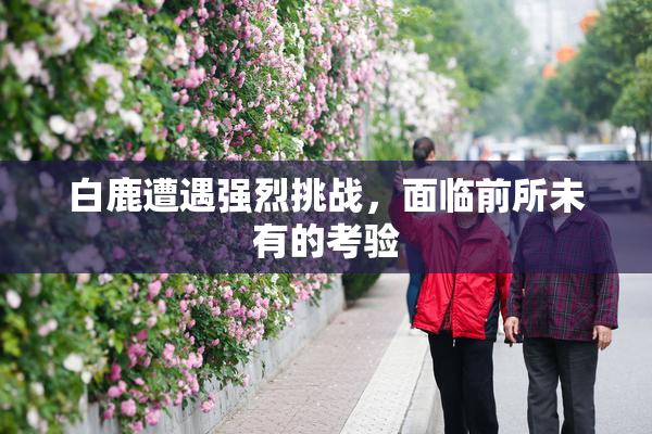 白鹿遭遇强烈挑战，面临前所未有的考验