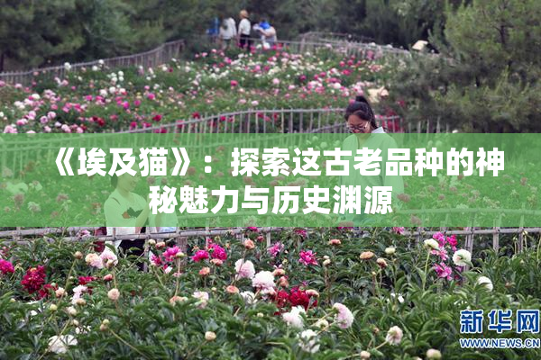 《埃及猫》：探索这古老品种的神秘魅力与历史渊源