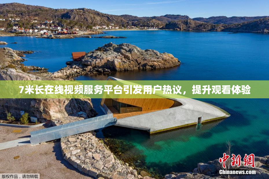 7米长在线视频服务平台引发用户热议，提升观看体验