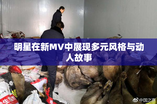 明星在新MV中展现多元风格与动人故事
