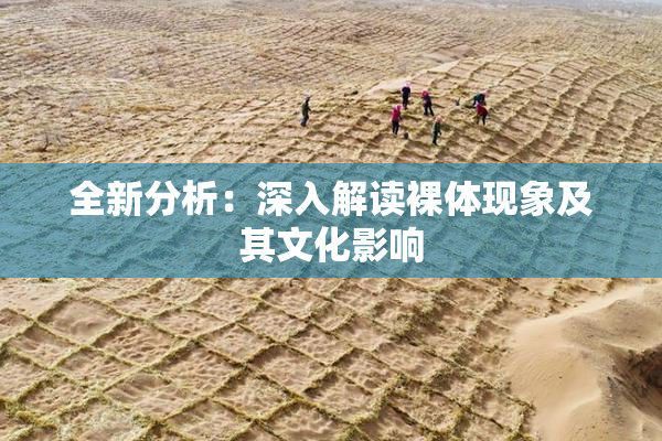 全新分析：深入解读裸体现象及其文化影响