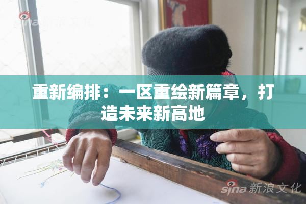 重新编排：一区重绘新篇章，打造未来新高地