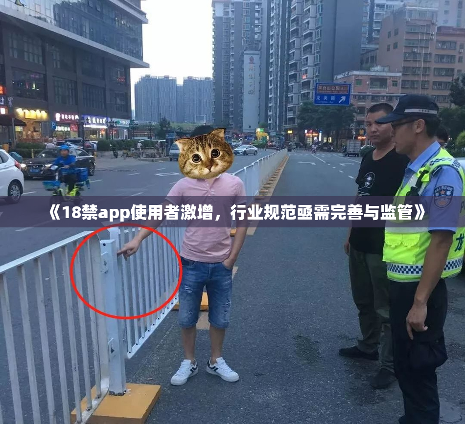 《18禁app使用者激增，行业规范亟需完善与监管》