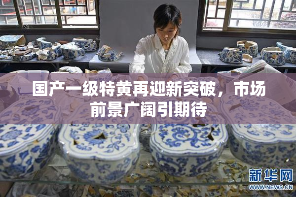 国产一级特黄再迎新突破，市场前景广阔引期待