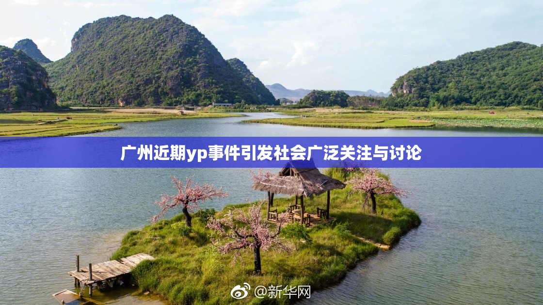 广州近期yp事件引发社会广泛关注与讨论