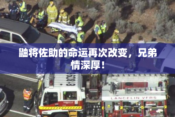 鼬将佐助的命运再次改变，兄弟情深厚！