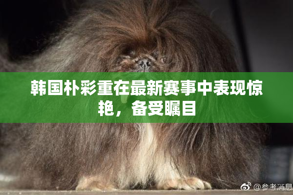 韩国朴彩重在最新赛事中表现惊艳，备受瞩目
