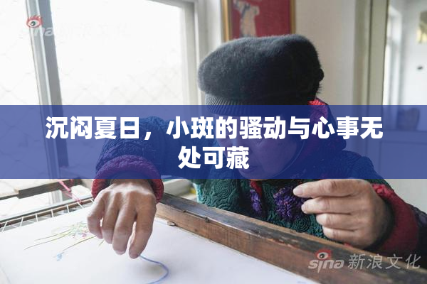 沉闷夏日，小斑的骚动与心事无处可藏