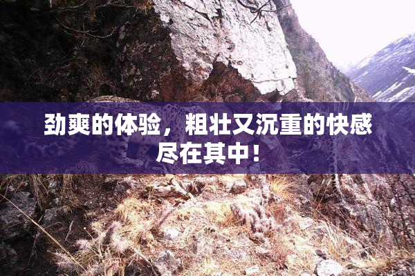 劲爽的体验，粗壮又沉重的快感尽在其中！