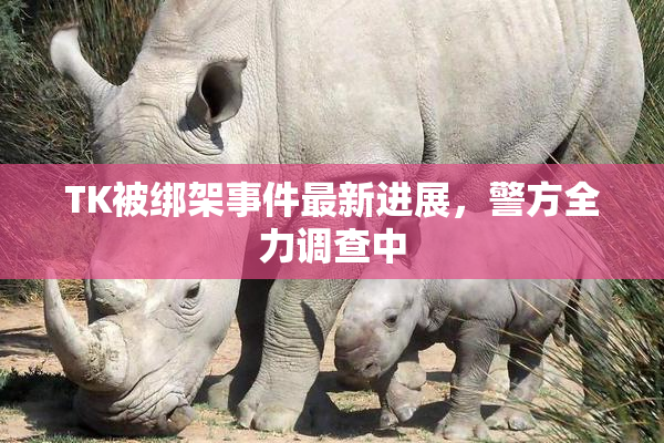 TK被绑架事件最新进展，警方全力调查中