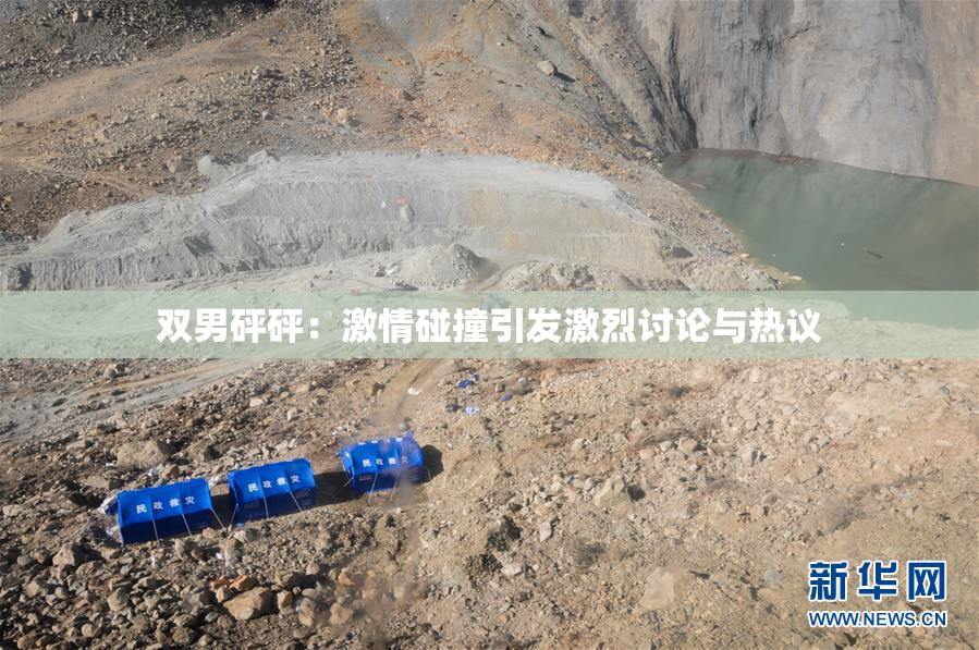 双男砰砰：激情碰撞引发激烈讨论与热议