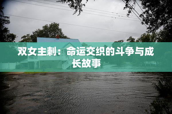 双女主刺：命运交织的斗争与成长故事