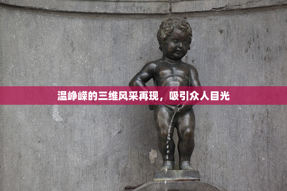 温峥嵘的三维风采再现，吸引众人目光