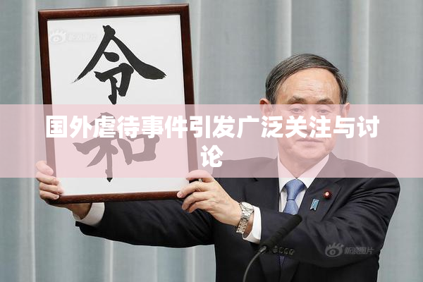 国外虐待事件引发广泛关注与讨论