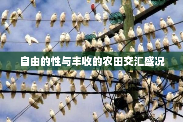 自由的性与丰收的农田交汇盛况