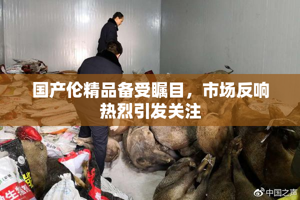 国产伦精品备受瞩目，市场反响热烈引发关注