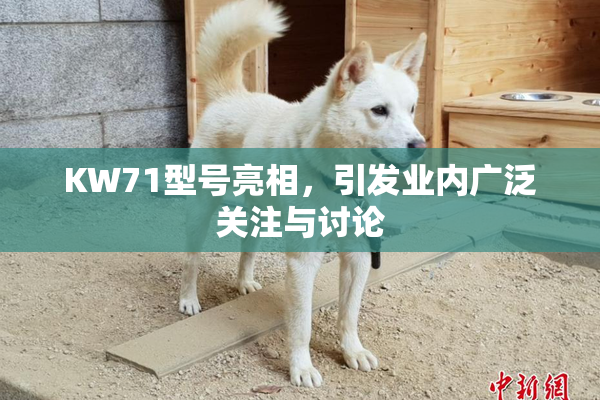 KW71型号亮相，引发业内广泛关注与讨论