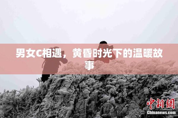 男女C相遇，黄昏时光下的温暖故事