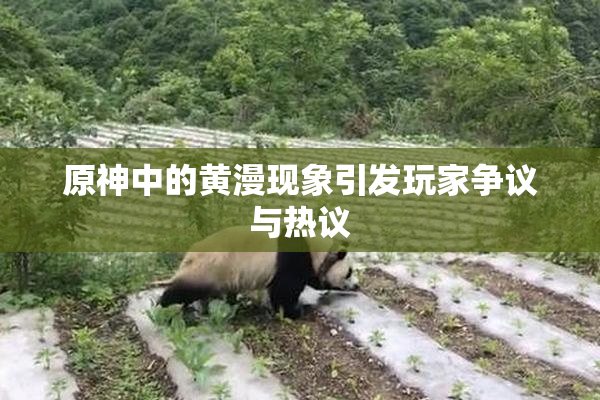 原神中的黄漫现象引发玩家争议与热议