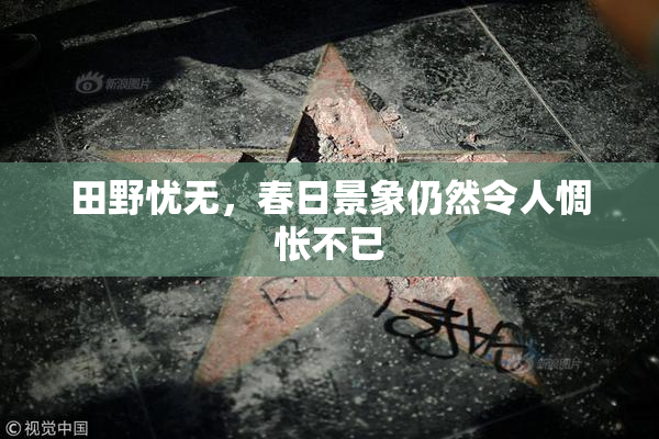 田野忧无，春日景象仍然令人惆怅不已