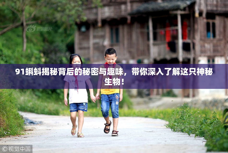 91蝌蚪揭秘背后的秘密与趣味，带你深入了解这只神秘生物！