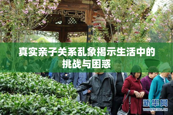 真实亲子关系乱象揭示生活中的挑战与困惑