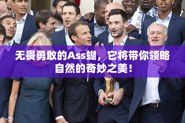 无畏勇敢的Ass蝴，它将带你领略自然的奇妙之美！