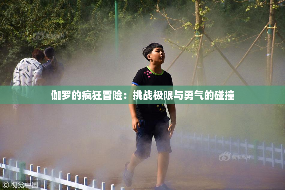 伽罗的疯狂冒险：挑战极限与勇气的碰撞
