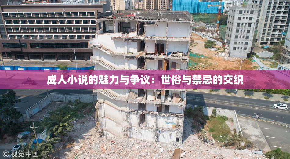 成人小说的魅力与争议：世俗与禁忌的交织