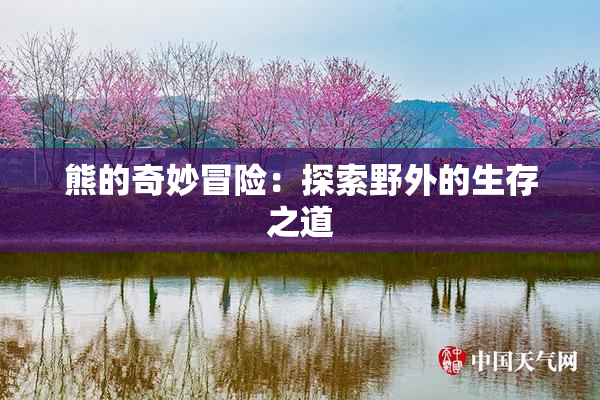 熊的奇妙冒险：探索野外的生存之道
