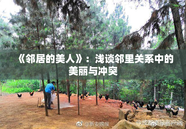 《邻居的美人》：浅谈邻里关系中的美丽与冲突