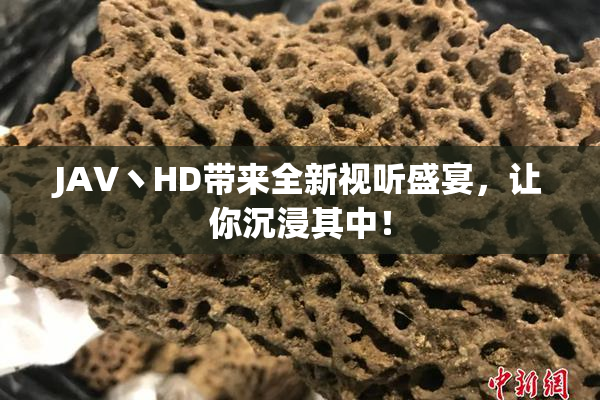 JAV丶HD带来全新视听盛宴，让你沉浸其中！