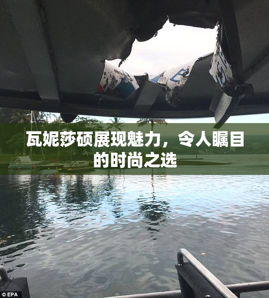 瓦妮莎硕展现魅力，令人瞩目的时尚之选