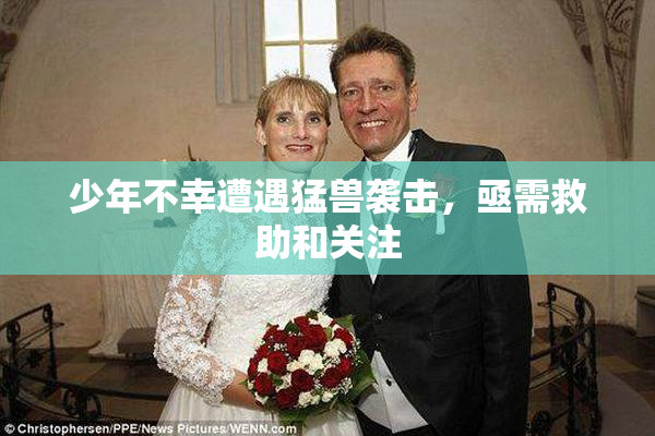 少年不幸遭遇猛兽袭击，亟需救助和关注
