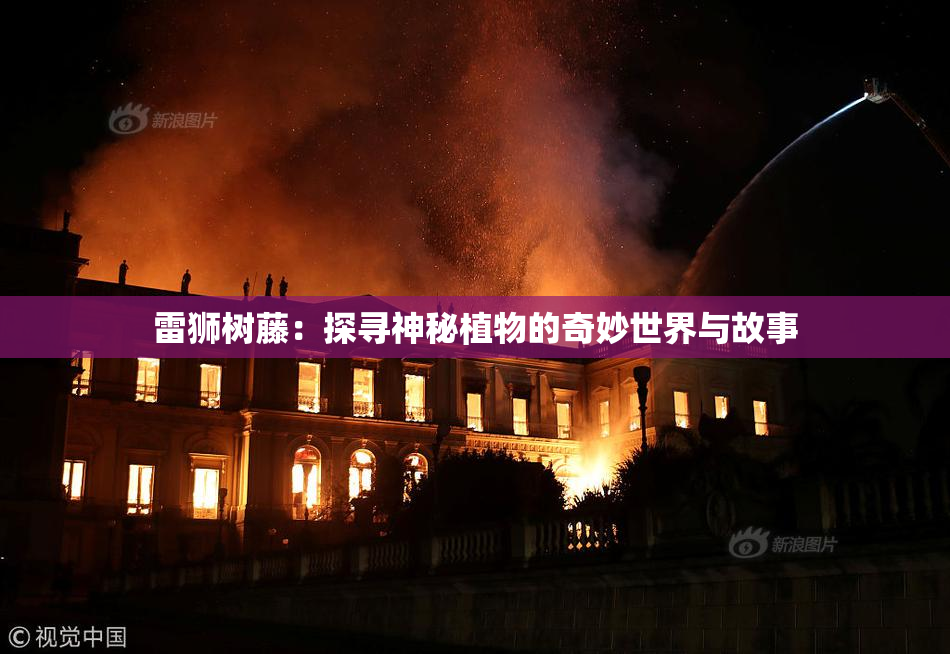 雷狮树藤：探寻神秘植物的奇妙世界与故事