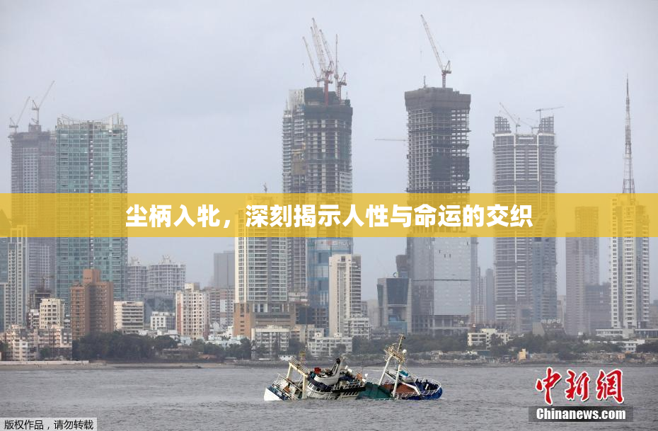 尘柄入牝，深刻揭示人性与命运的交织
