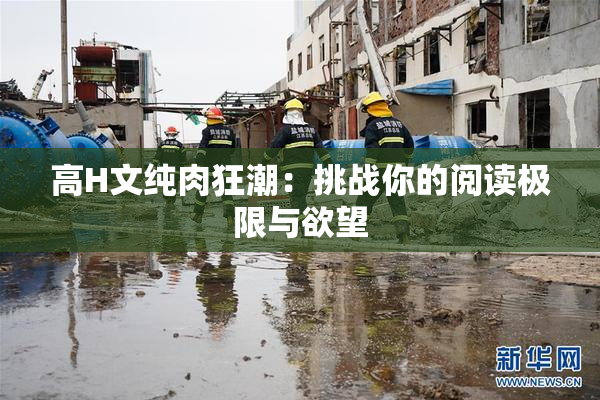 高H文纯肉狂潮：挑战你的阅读极限与欲望