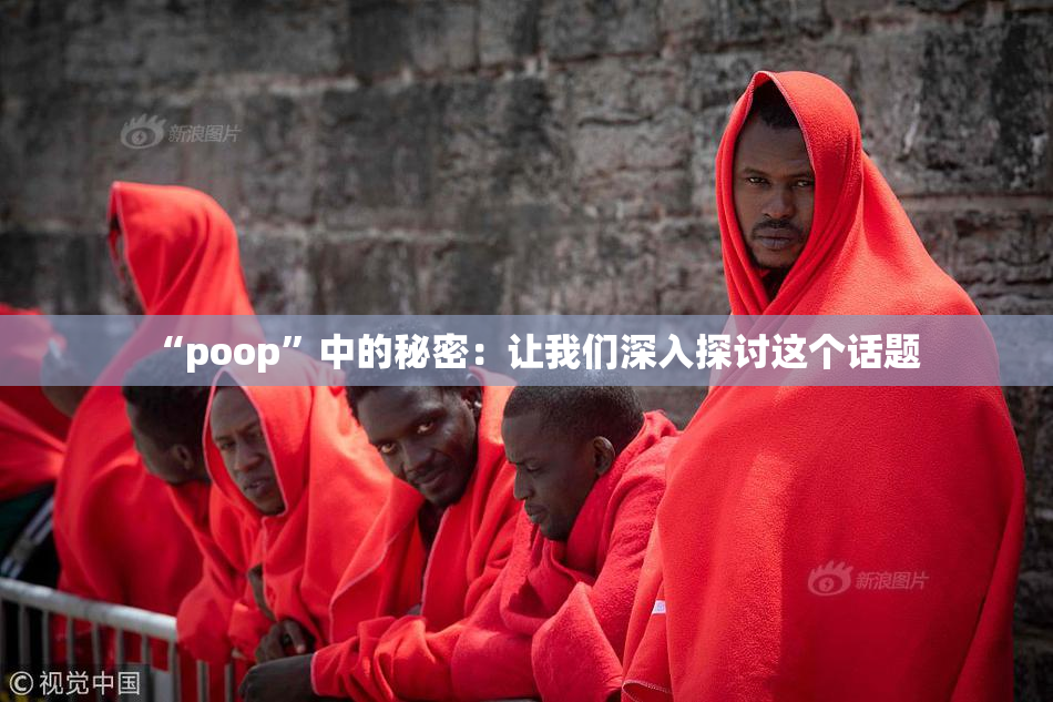 “poop”中的秘密：让我们深入探讨这个话题