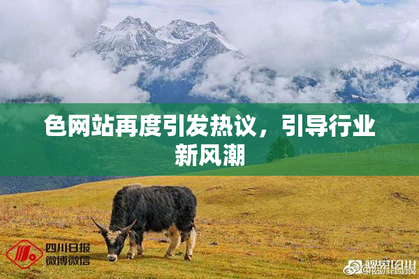 色网站再度引发热议，引导行业新风潮