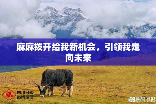 麻麻拨开给我新机会，引领我走向未来