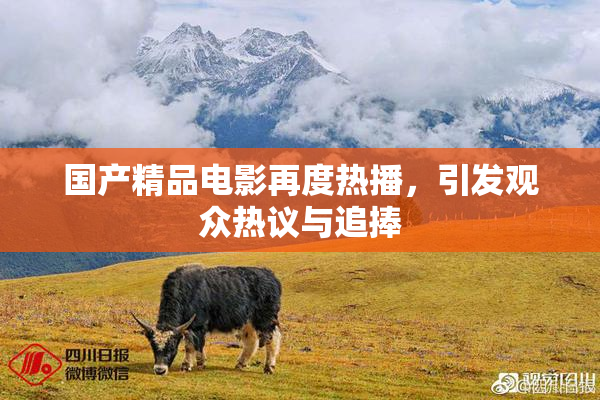 国产精品电影再度热播，引发观众热议与追捧