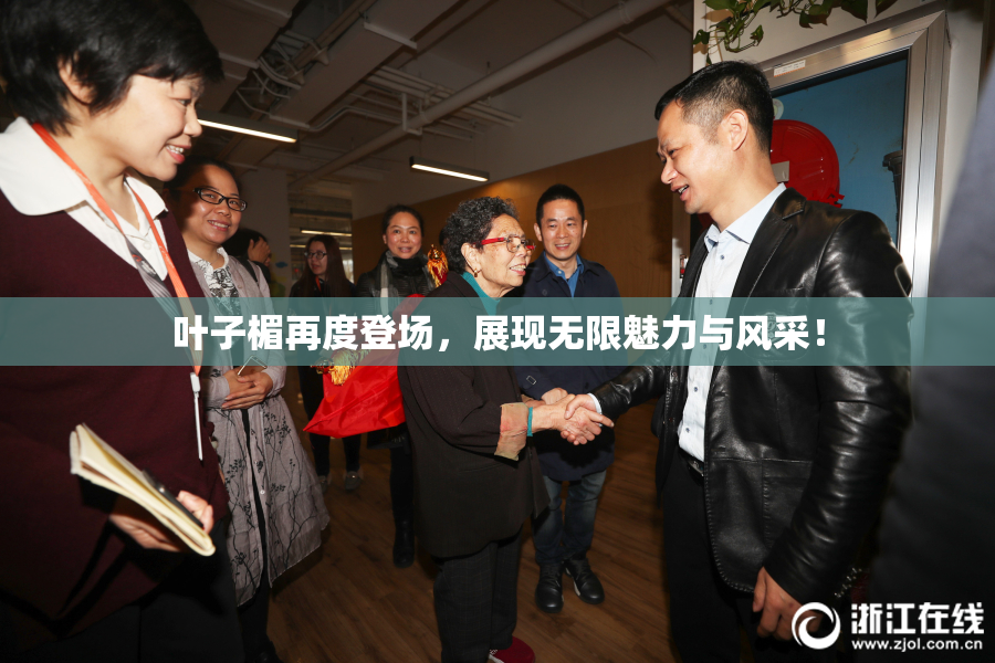 叶子楣再度登场，展现无限魅力与风采！