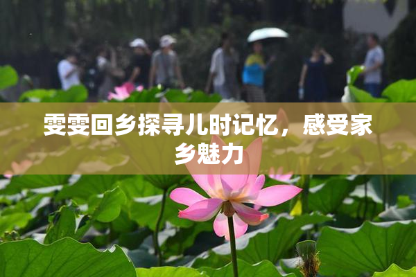 雯雯回乡探寻儿时记忆，感受家乡魅力