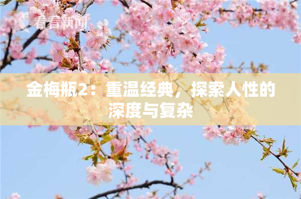 金梅瓶2：重温经典，探索人性的深度与复杂