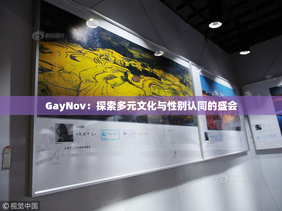 GayNov：探索多元文化与性别认同的盛会