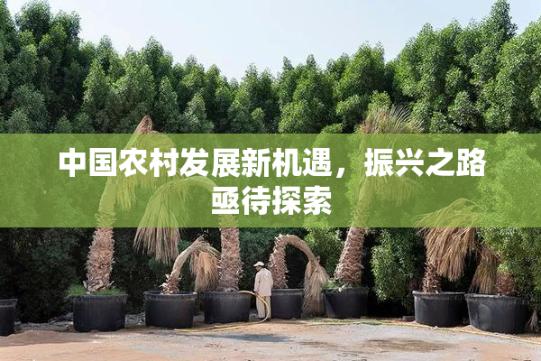 中国农村发展新机遇，振兴之路亟待探索